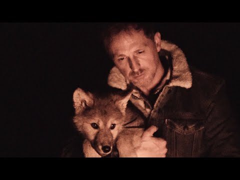 Jörg Bausch - Wie ein Wolf in der Nacht "2019" (Official Music Video)